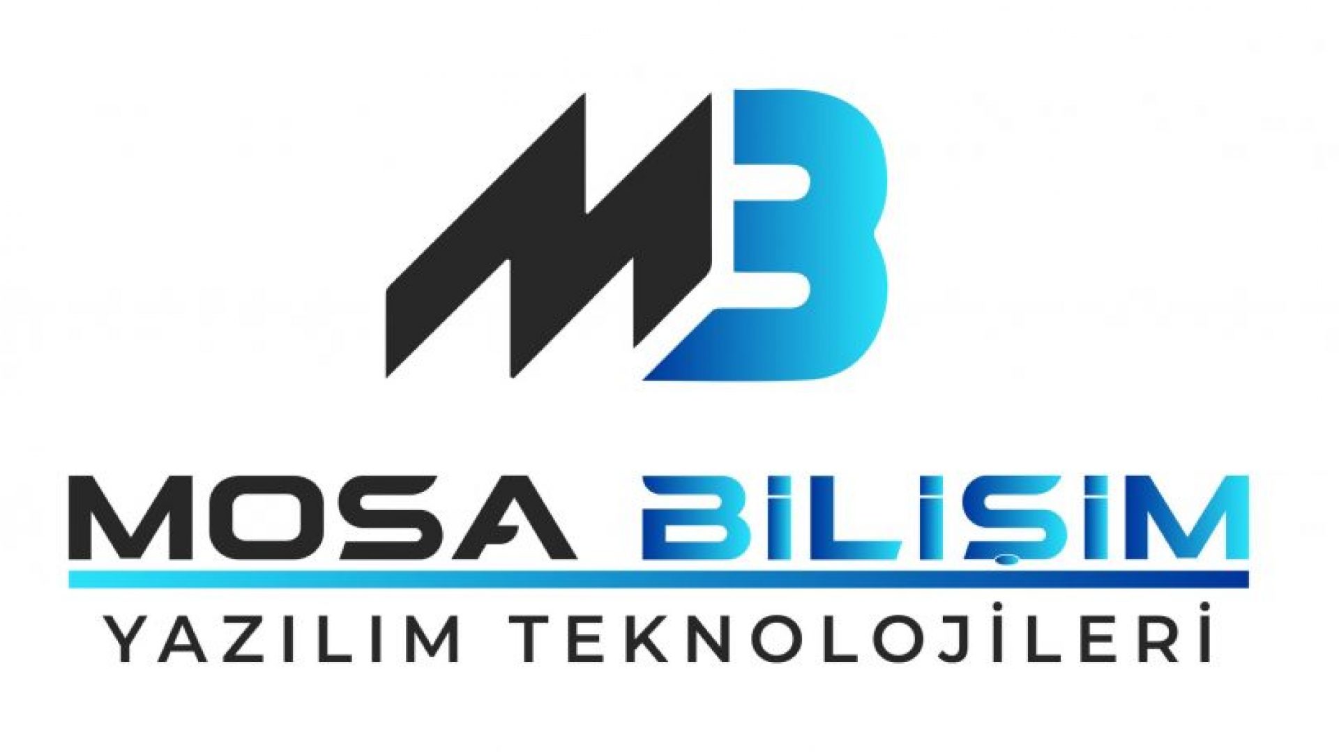 Mosa Bilişim ve Yazılım Teknolojileri -Mikro Yazılım Ankara Satış Ve Destek
